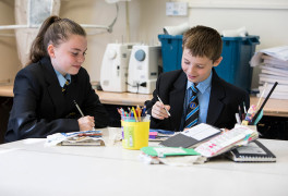 pupil premium at cheslyn hay academy